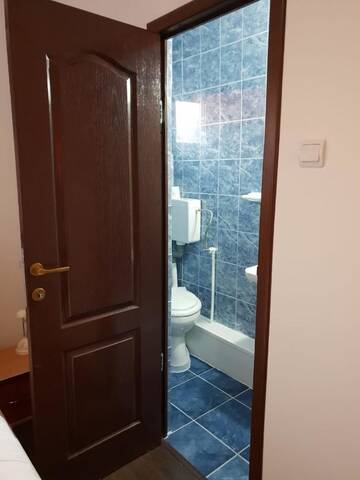 Фото номера Одноместный номер с ванной комнатой Гостевой дом Vila Estera Balotesti г. Балотешти 3